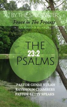 Paperback By the Still Waters: Peace in The Process Book