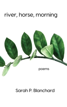 Paperback river, horse, morning Book