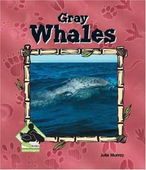 Gray Whales - Book  of the Buddy Books