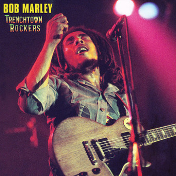Vinyl Trenchtown Rockers Book