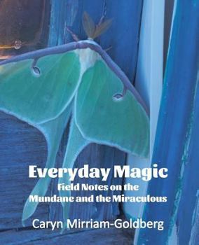 Paperback Everyday Magic: Field Notes on the Mundane and the Miraculous Book