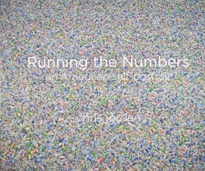 Hardcover Running the Numbers: An American Self-Portrait Book