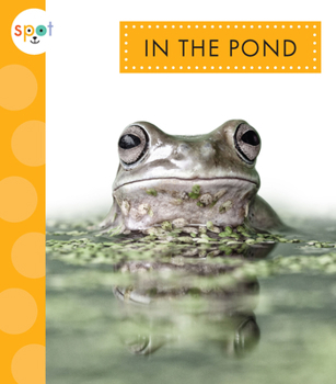 Hardcover In the Pond Book