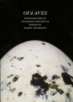 Paperback Ova Aves Book