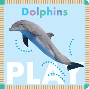 Dolphins Play - Book  of the Amicus Ink Animal Board Books