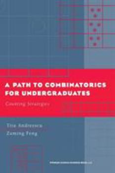 Paperback A Path to Combinatorics for Undergraduates: Counting Strategies Book