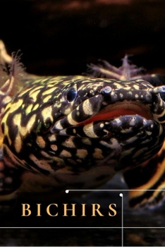 Bichirs: Care Guide: Popular Types and Their Behavior
