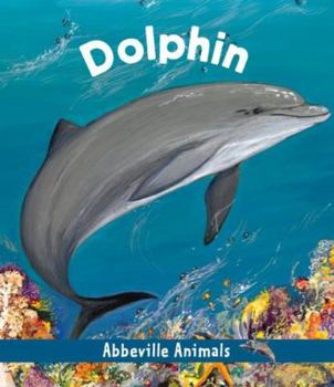 Hardcover Dolphin Book