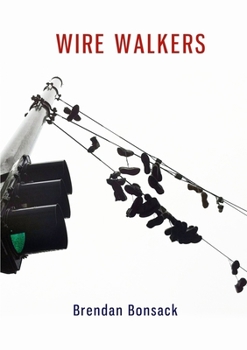 Paperback Wire Walkers Book