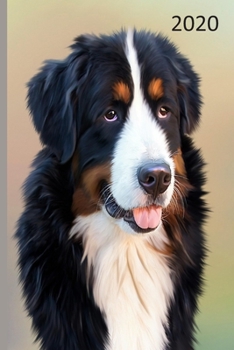 2020: Dog  Diary, Planner, Agenda  - Week Per View - Gift for Dog Lover - Collie