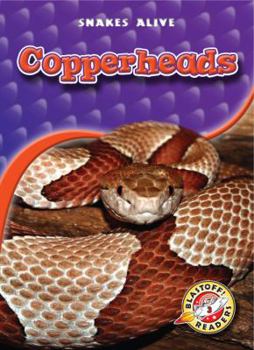 Copperheads - Book  of the Snakes Alive