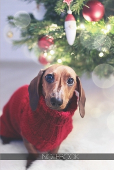 Paperback Notebook: Dachshund dog wearing a red Christmas sweater [110 pages]: Dachshund dog wearing a red Christmas sweater Book