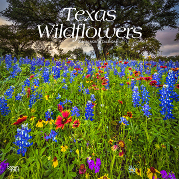 Calendar Texas Wildflowers 2024 Square Book