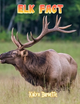 Elk Fact: ELK fact for girl age 1-10 ELK fact for boy age 1-10 facts about all about ELK