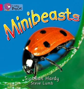 Paperback Minibeasts Book