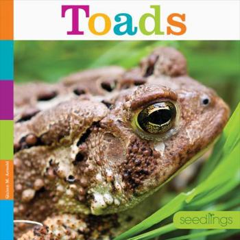 Paperback Toads Book