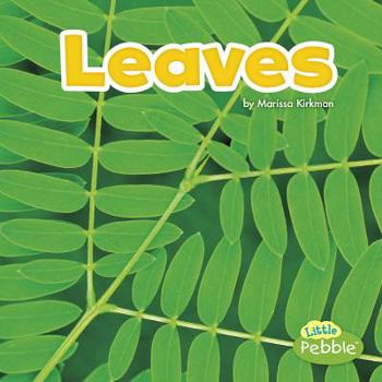Hardcover Leaves Book