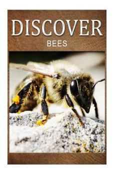 Paperback Bees - Discover: Early reader's wildlife photography book
