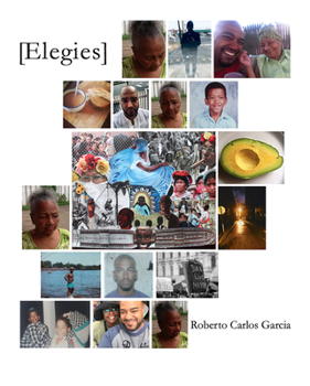 Paperback [elegies] Book