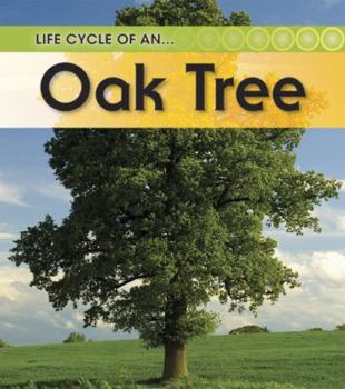 Life Cycle of an Oak Tree (Life Cycle of a ...) - Book  of the Life Cycle of a...