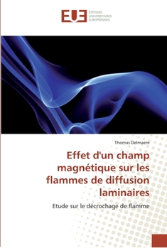 Effet d''un champ magnétique sur les flammes de diffusion laminaires