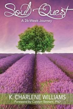 Paperback Soul Quest: A 26-Week Journey Book