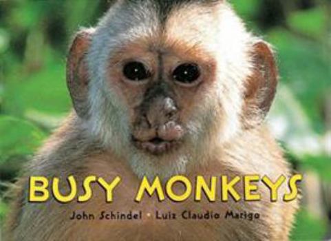 Busy Monkeys - Book  of the A Busy Book