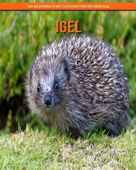 Paperback Igel: Ein Bilderbuch mit lustigen Fakten über Igel [German] [Large Print] Book