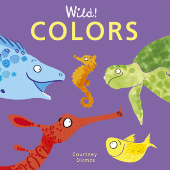 Board book Colors Book