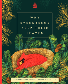 Hardcover Why Evergreens Keep Their Leaves Book