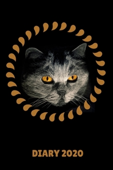 Diary 2020: Black Cat in The Dark Monthly Week to View Planner