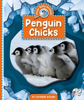 Library Binding Penguin Chicks Book