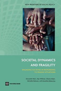 Paperback Societal Dynamics and Fragility Book