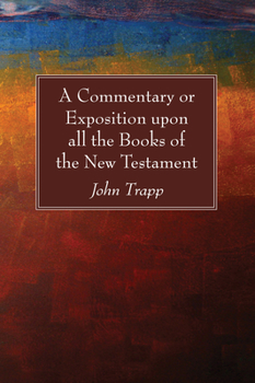 Paperback A Commentary or Exposition upon all the Books of the New Testament Book