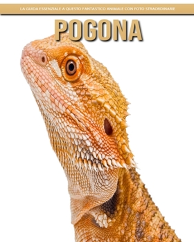 Pogona: la guida essenziale a questo fantastico animale con foto straordinarie