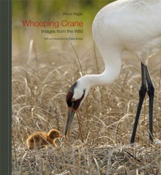 Hardcover Whooping Crane: Images from the Wild Book