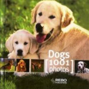 Hardcover Cube Book Dogs 1001 Photos (Cubebooks) Book