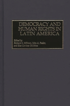 Hardcover Democracy and Human Rights in Latin America Book