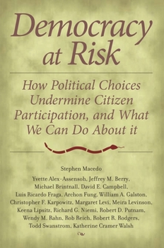 Hardcover Democracy at Risk: How Political Choices Undermine Citizen Participation, and What We Can Do about It Book