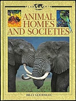 Hardcover Animal Homes and Societies (Planet Earth Books) Book