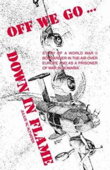 Paperback Off We Go...Down in Flame Book