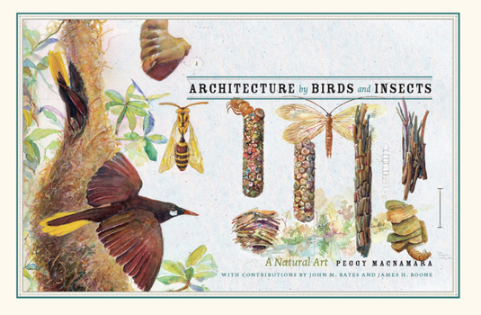 Hardcover Architecture by Birds and Insects: A Natural Art Book