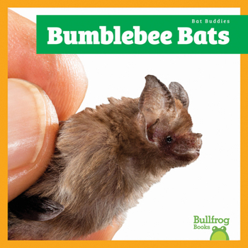 Bumblebee Bats (Bat Buddies)