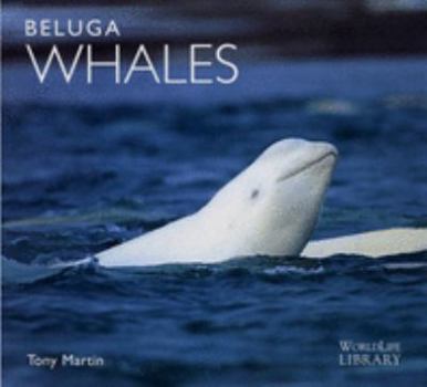 Hardcover Beluga Whales Book