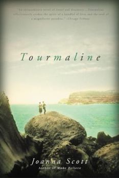 Paperback Tourmaline Book
