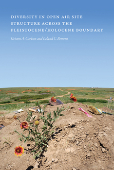 Hardcover Diversity in Open-Air Site Structure Across the Pleistocene/Holocene Boundary Book