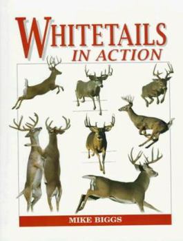 Hardcover Whitetails in Action Book