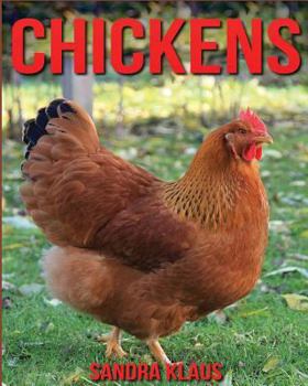 Paperback Childrens Book: Amazing Facts & Pictures about Chickens Book