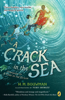 Paperback A Crack in the Sea Book