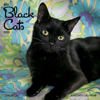 Calendar Just Black Cats 2020 Mini Wall Calendar Book